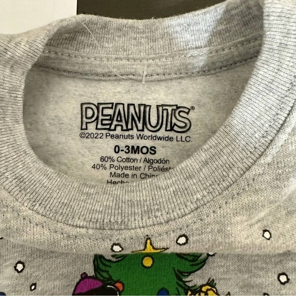 Peanuts charlie brown